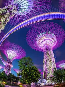Gardens by the Bay in Singapore