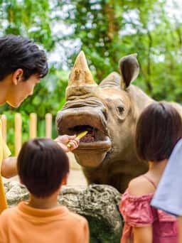 Singapore Zoo in Singapore