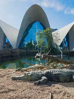 Oceanografic Valencia in Valencia