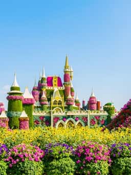 Dubai Miracle Garden in Dubai