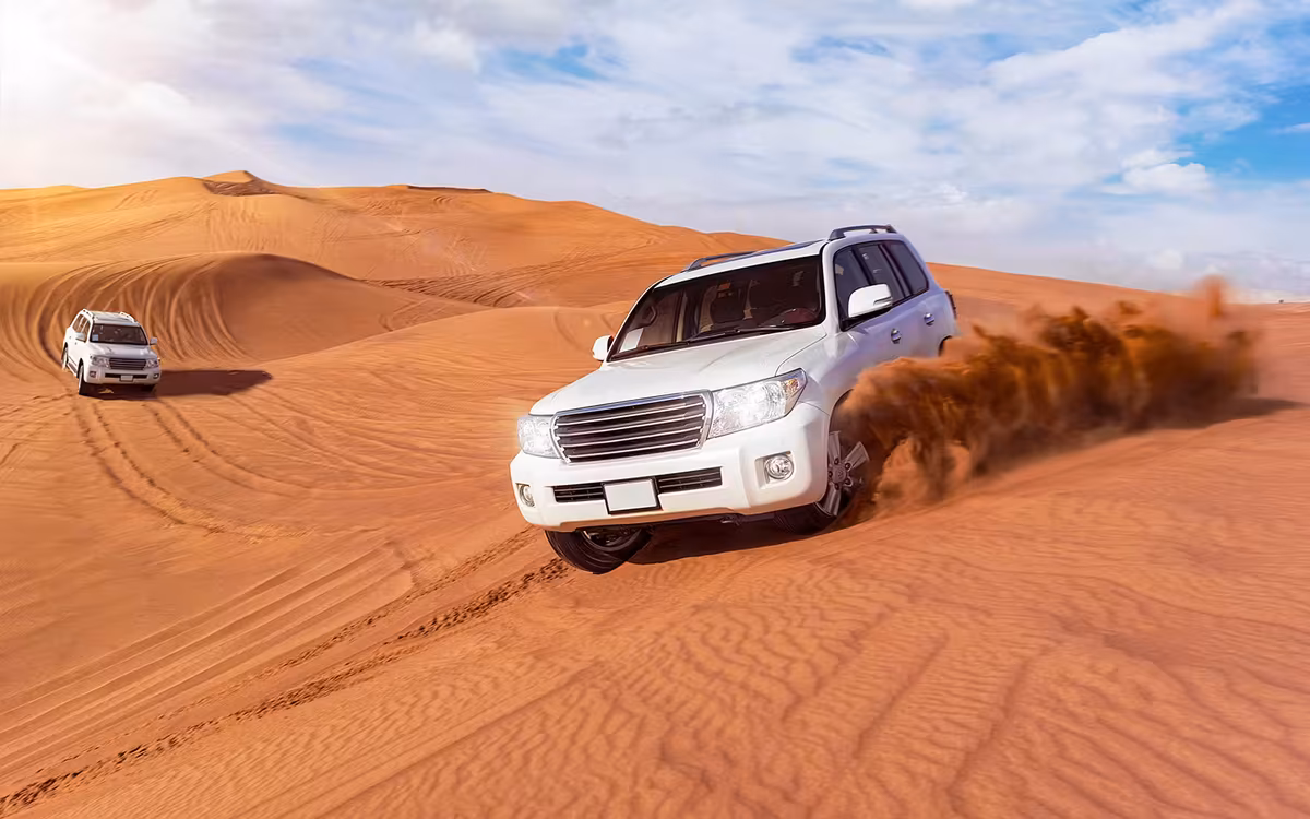 4-Hour Evening Desert Safari Dubai with Camel Ride guest snapshot 4