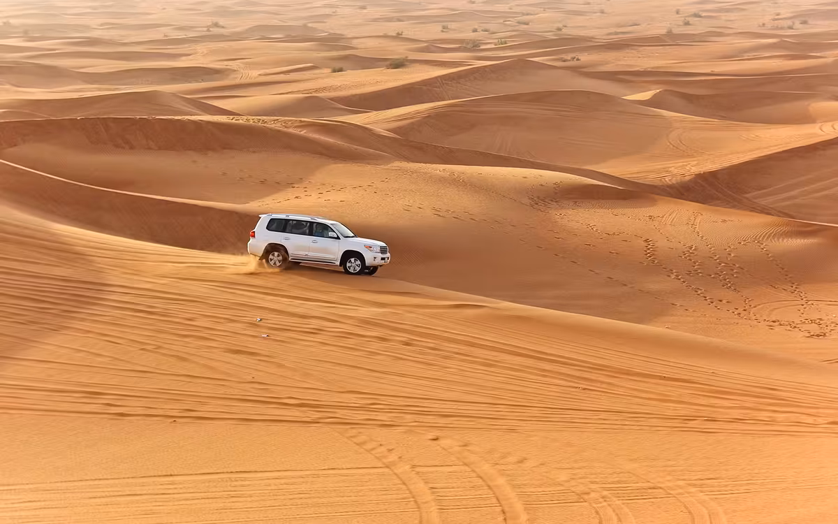 4-Hour Evening Desert Safari Dubai with Camel Ride guest snapshot 5