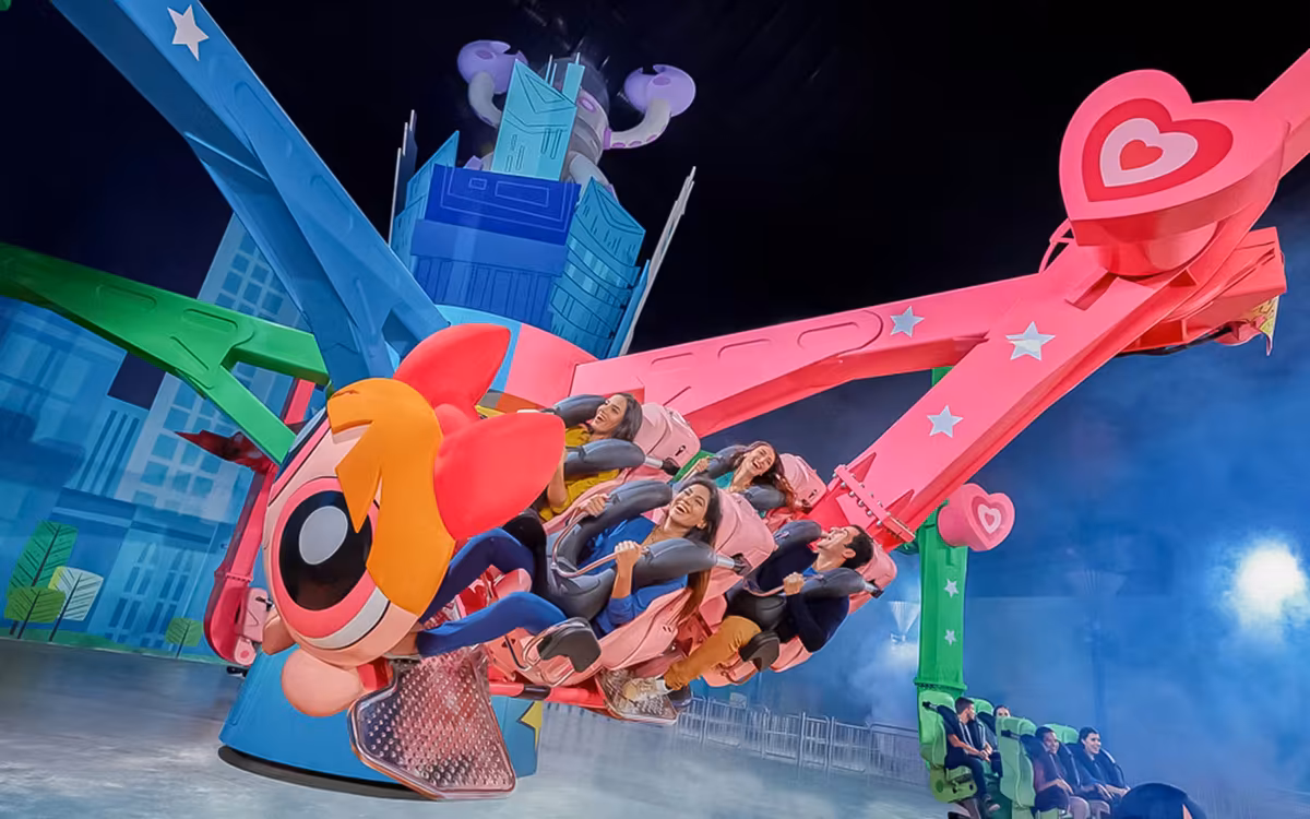 Roller coaster excitement