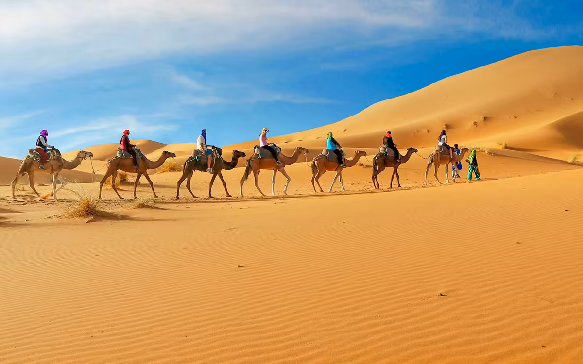 Morning Desert Safari Dubai with Dune Bashing & Sand Boarding guest snapshot 2