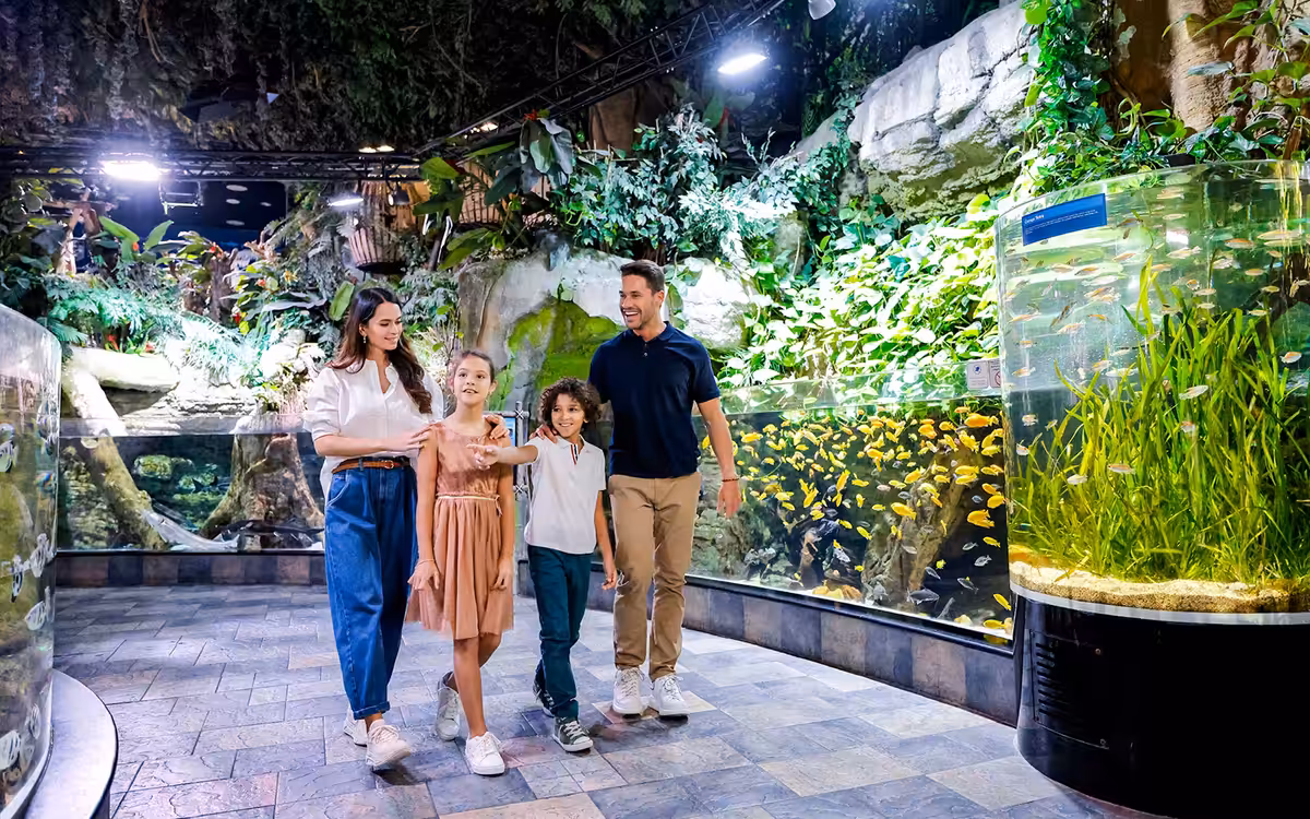 Dubai Aquarium and Underwater Zoo with Penguin Cove Tickets image 4