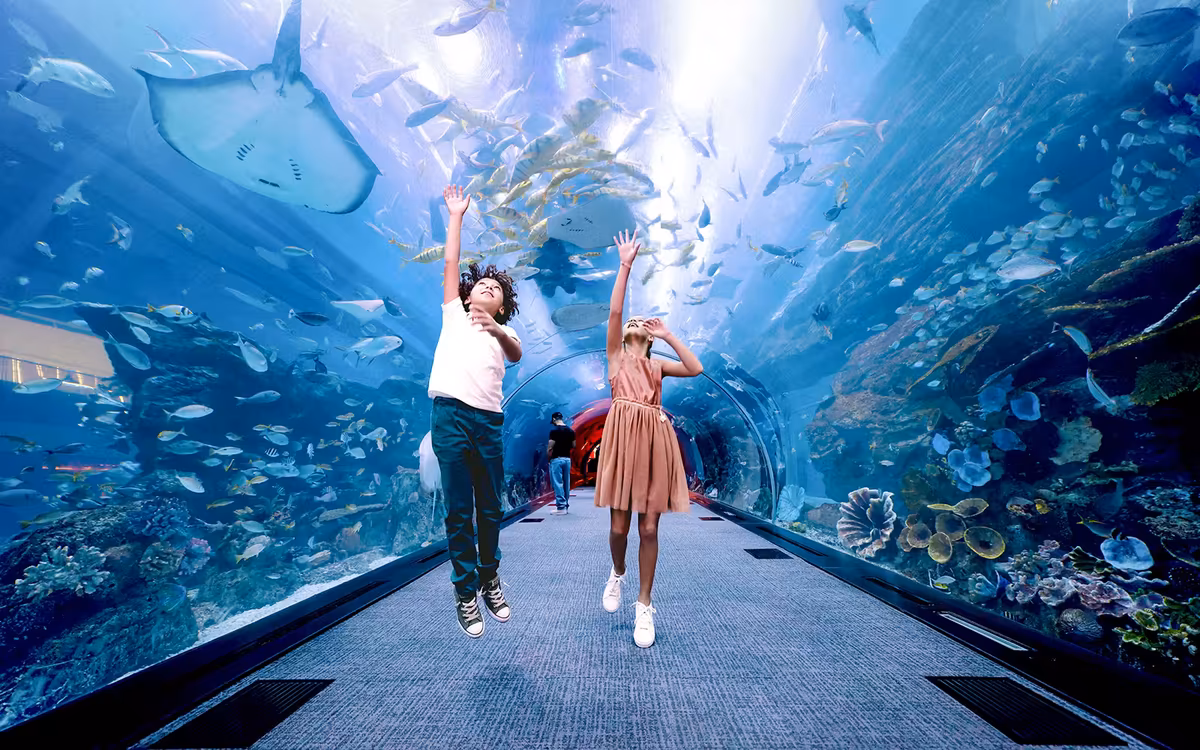 Dubai Aquarium and Underwater Zoo with Penguin Cove Tickets image 6