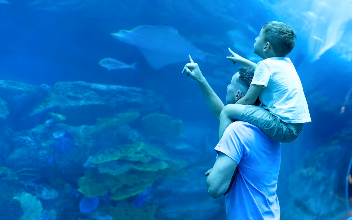 Dubai Aquarium and Underwater Zoo with Penguin Cove Tickets image 8