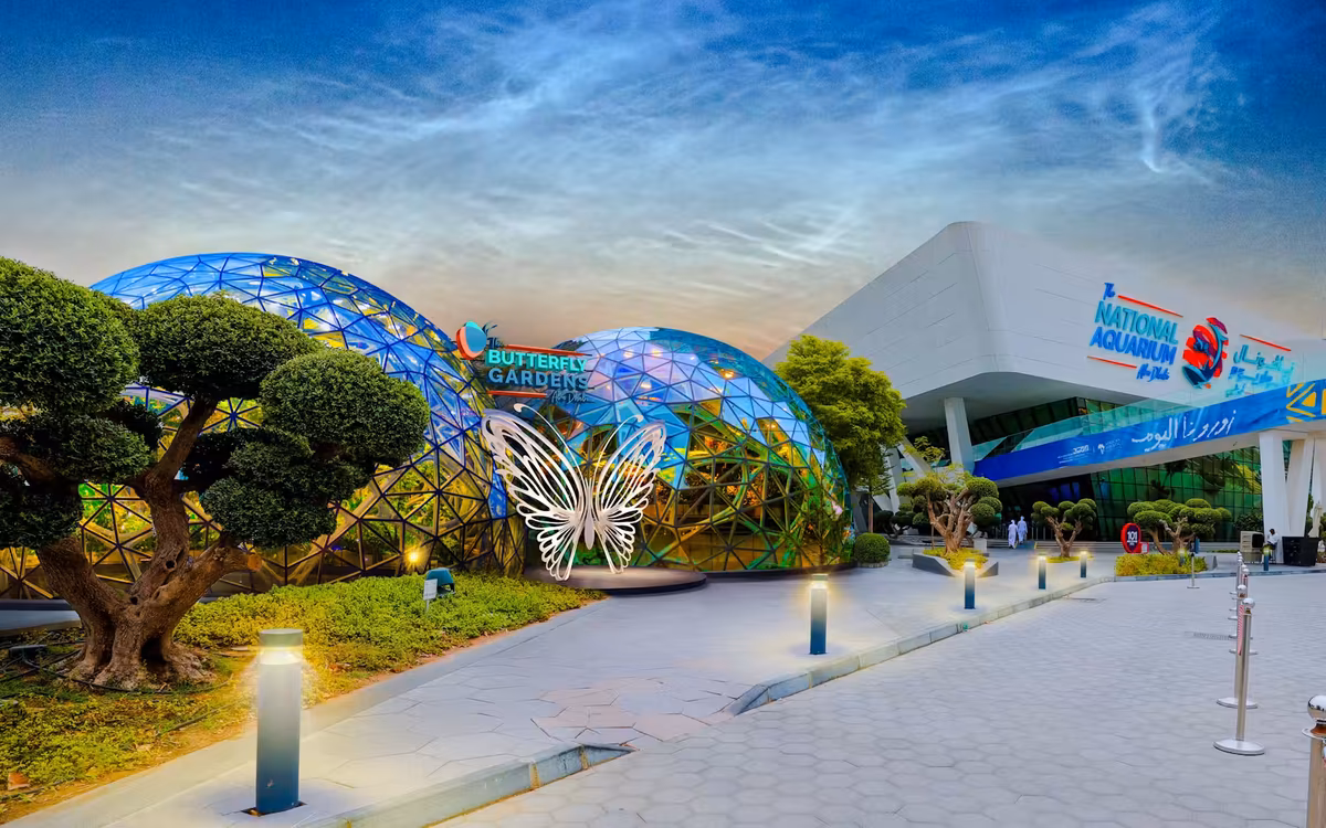 Butterfly Gardens Abu Dhabi Tickets | 10,000 Butterflies
