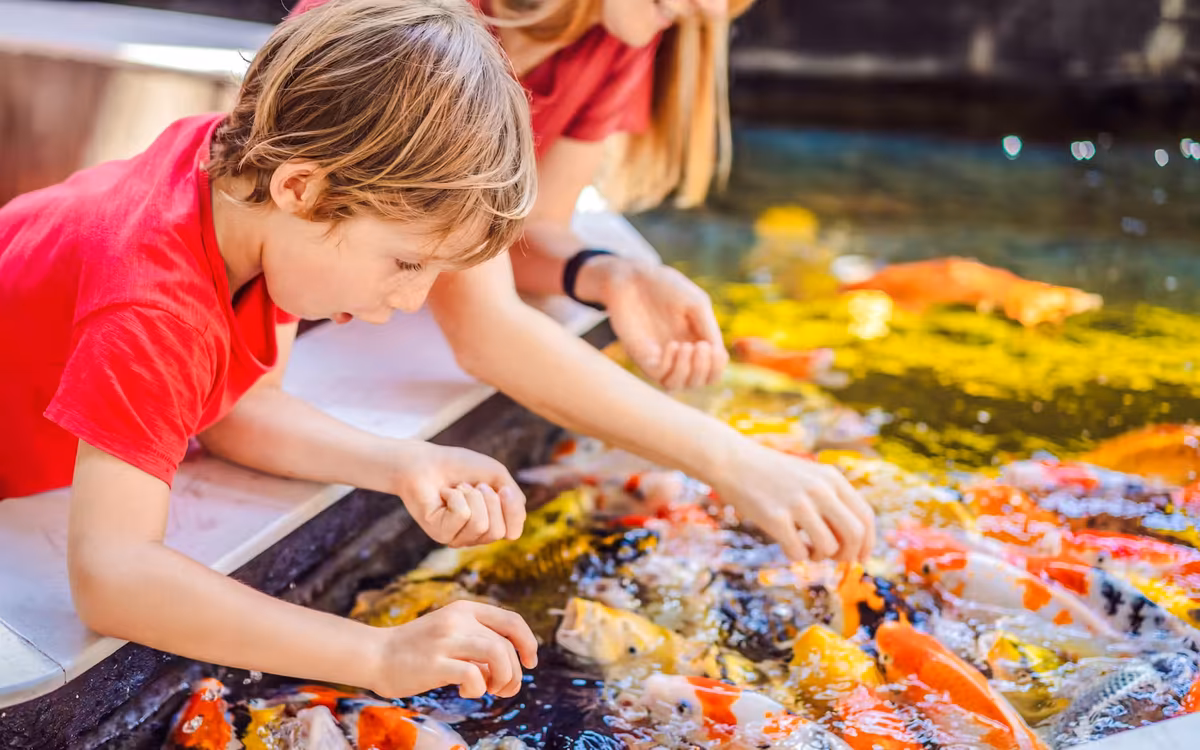 Butterfly Gardens Abu Dhabi Tickets | 10,000 Butterflies image 2