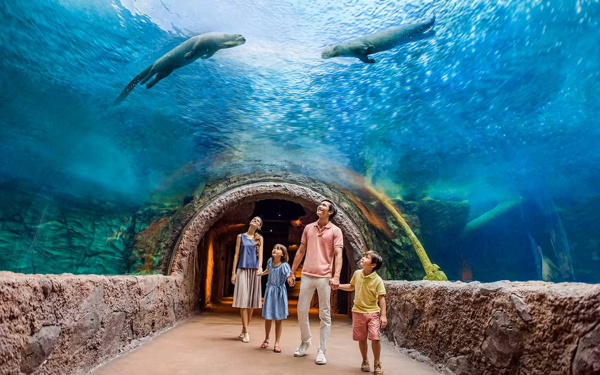 River Wonders Tickets Singapore: Pandas and River Habitats image 1